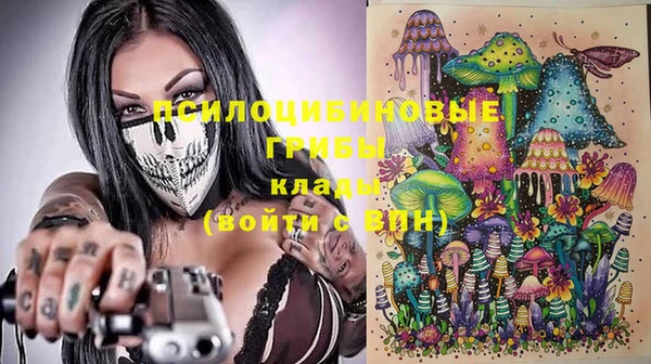 гашик Абинск