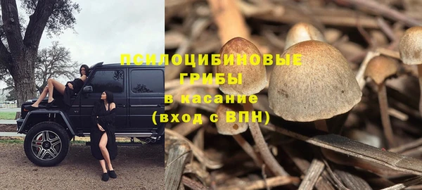 прущая мука Абдулино